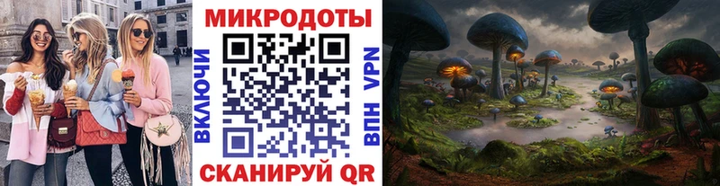 Галлюциногенные грибы Psilocybe Северодвинск
